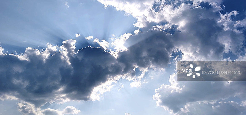 晴天蔽日图片素材