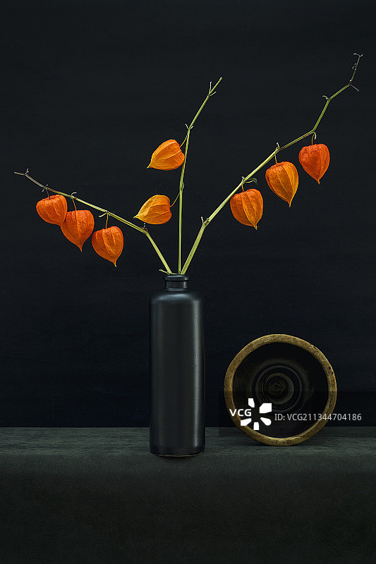 黑色背景下，花瓶中的花卉特写图片素材