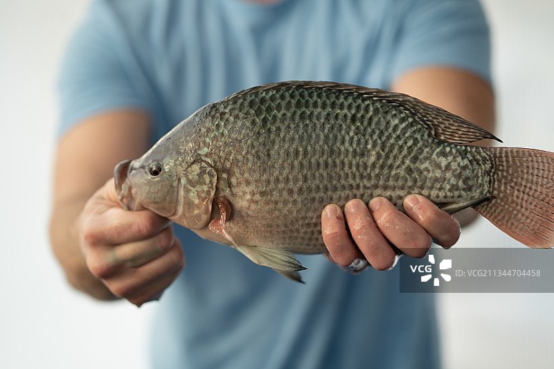 男子手持海鱼图片素材