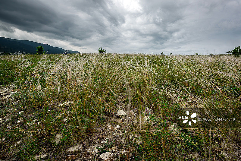俄罗斯的田野风光图片素材