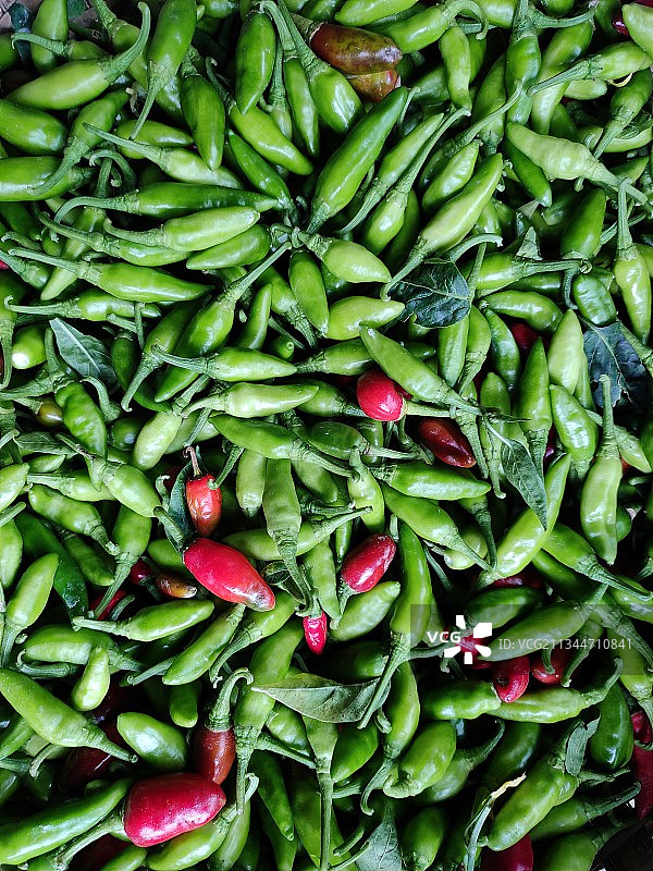 印度Sisauni Rajauli绿色辣椒全画幅照片图片素材