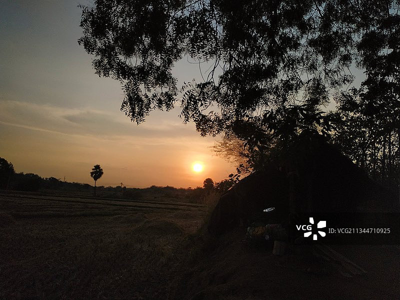 日落时分，印度特伦甘纳邦瓦朗加尔田野上的树木轮廓图片素材