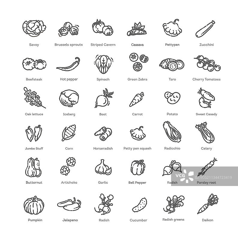 基本蔬菜细线图标集图片素材