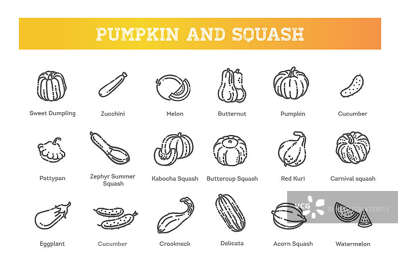 南瓜和各种壁球图片素材