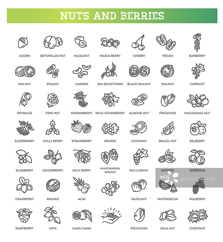 网页图标合集 - 坚果和浆果图片素材