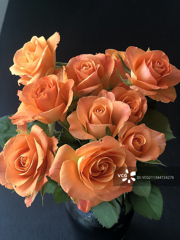 桌子上花瓶里的玫瑰特写图片素材