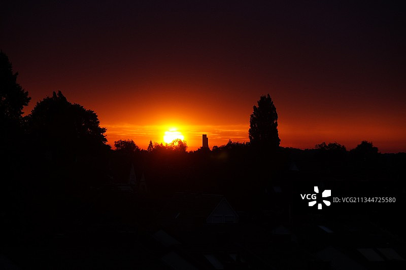 日落时分德国基尔的树木轮廓图片素材