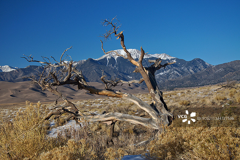 美国科罗拉多州阿拉莫萨县的雪山风光图片素材