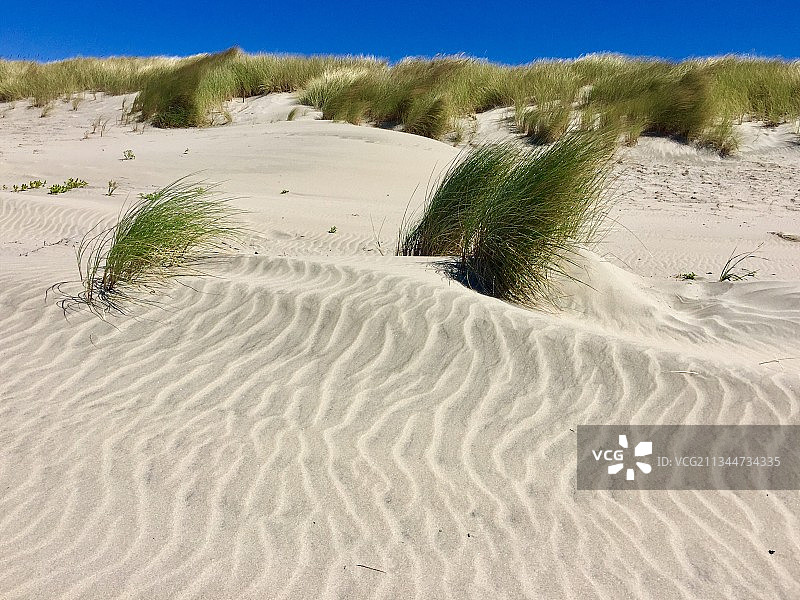 美国沙丘风光图片素材