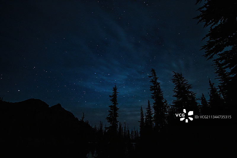 夜间天空下的树木轮廓，三姐妹荒野，美国图片素材