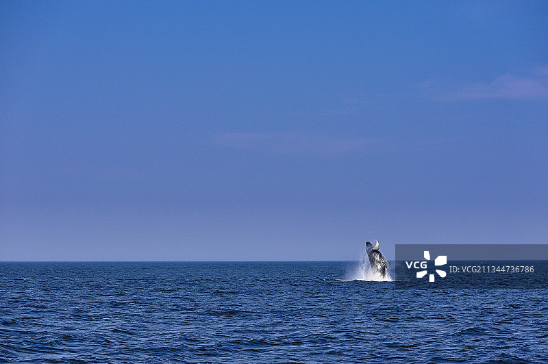 波士顿港海景，美国图片素材