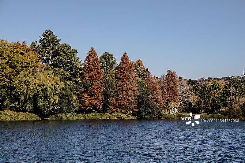 南非约翰内斯堡秋季晴空下的湖泊风光图片素材