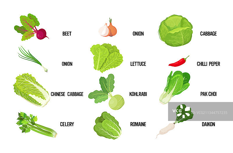 新鲜绿色沙拉叶美味素食图片素材