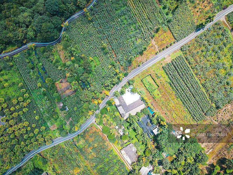 成都虹口自然保护区图片素材