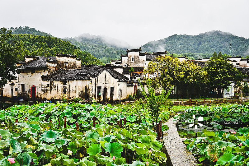 雨中西递图片素材