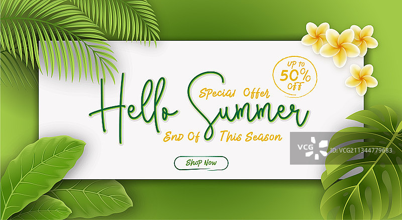 你好夏天热带树叶促销banner图片素材