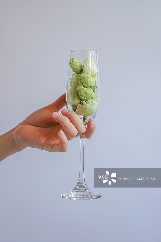 洋桔梗图片素材