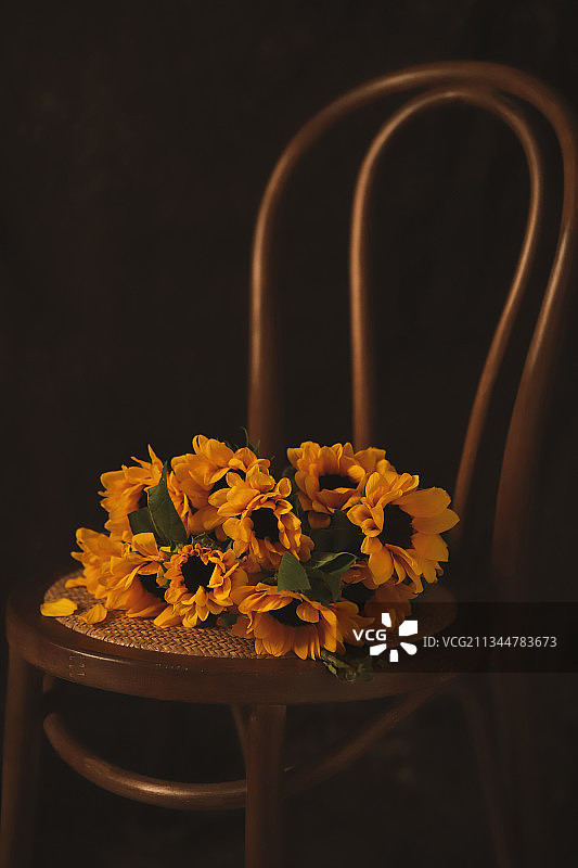 向日葵图片素材