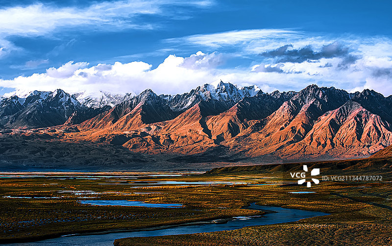 塔合曼湿地图片素材