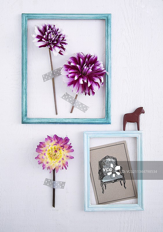 两个浅蓝色相框，内含大丽花和灰色明信片，贴在墙上图片素材