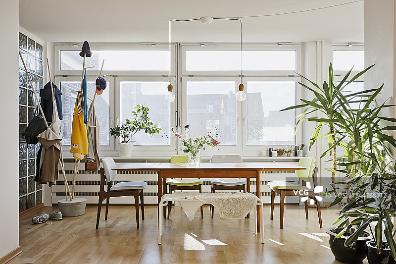 20世纪50年代风格的用餐区，宽敞明亮的室内，盆栽棕榈树图片素材