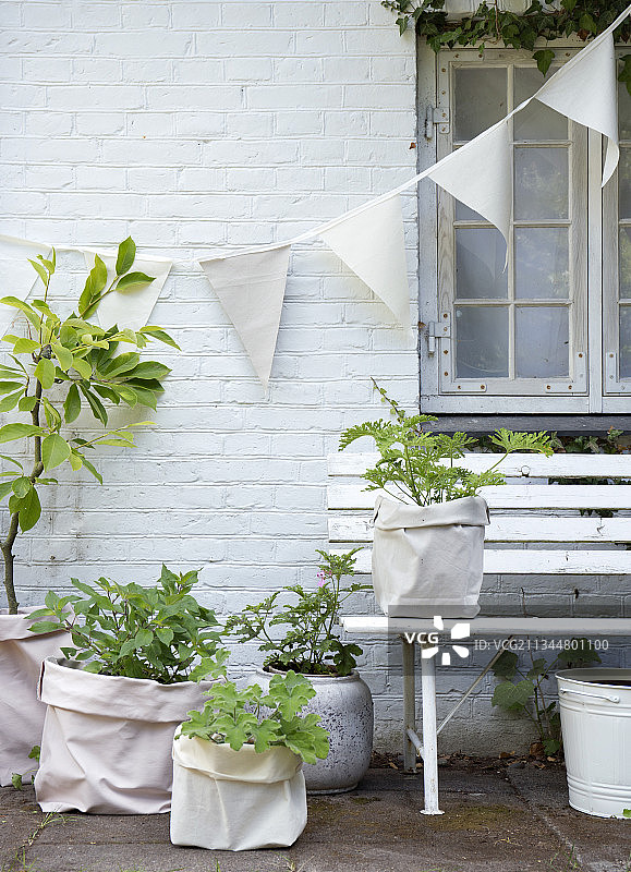 白色砖房上布袋植物上的三角旗链图片素材