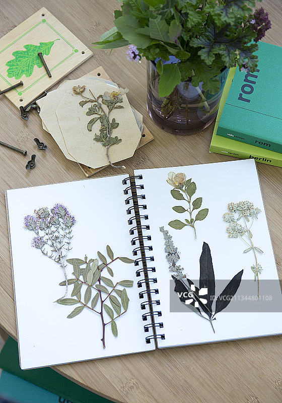 带有压制植物的活页夹，作为植物标本室图片素材
