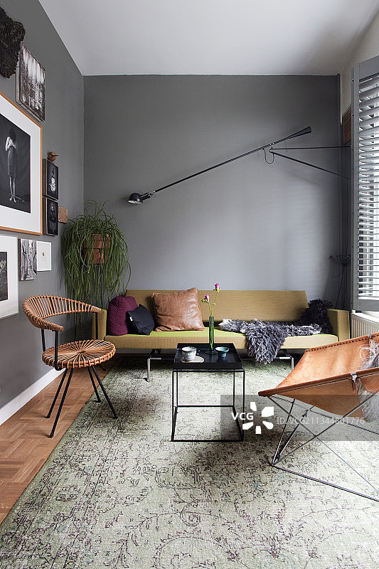 起居室内的经典椅子和棕绿色沙发，搭配灰色墙壁图片素材