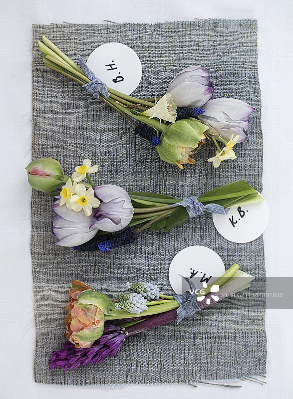 小束郁金香、黄水仙和葡萄风信子图片素材