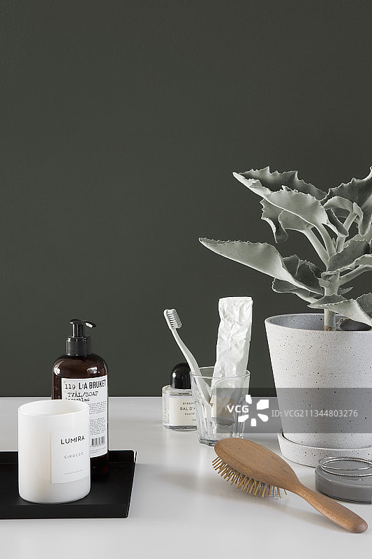 简洁浴室用品与盆栽长寿花，深绿色墙壁图片素材