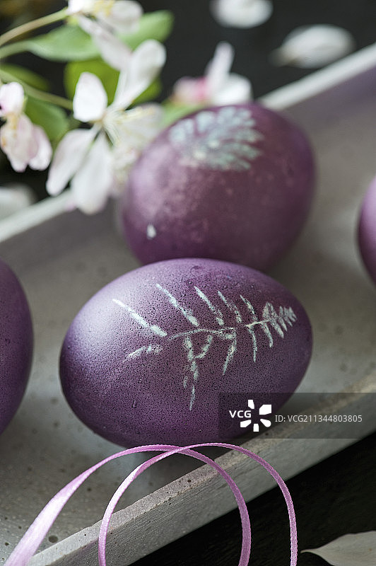 带有植物图案的紫色染色复活节彩蛋图片素材