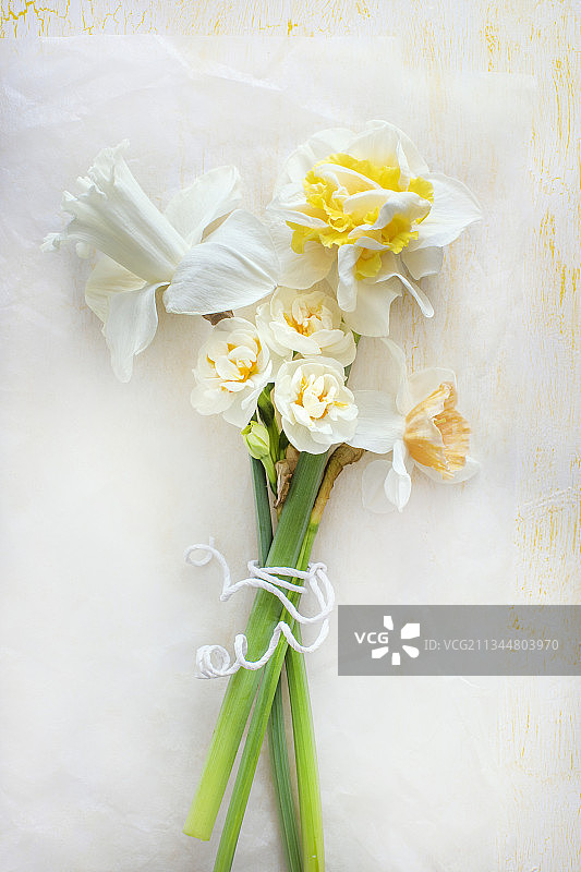 白色水仙花束图片素材