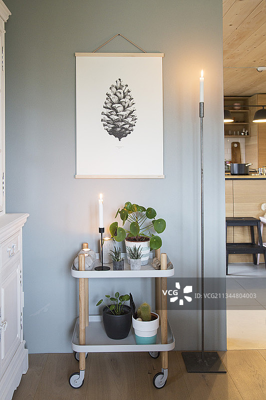 灰色墙壁上松果海报下的现代手推车上的植物图片素材