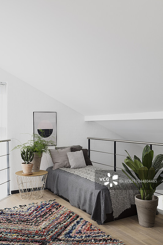 波西米亚风格画廊里的沙发和室内植物图片素材