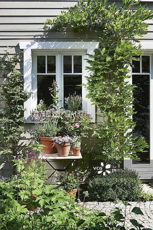 木屋前花园桌子上的植物图片素材