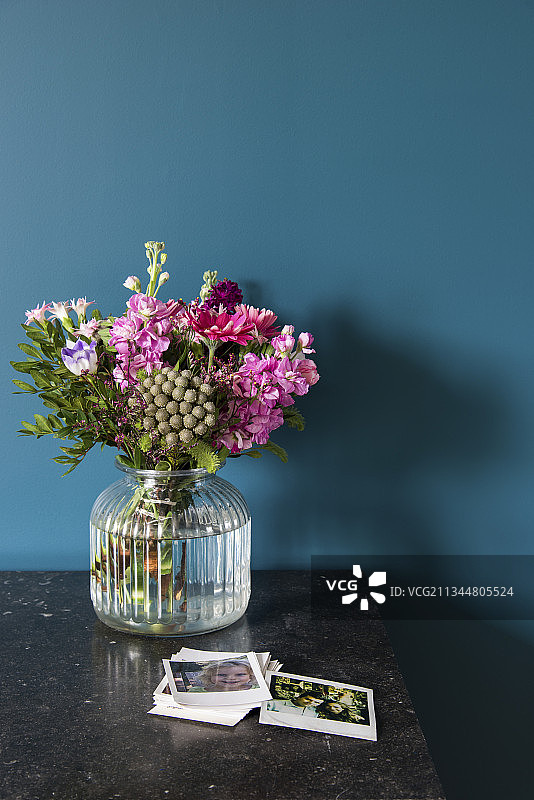 深蓝墙壁前的玻璃花瓶图片素材