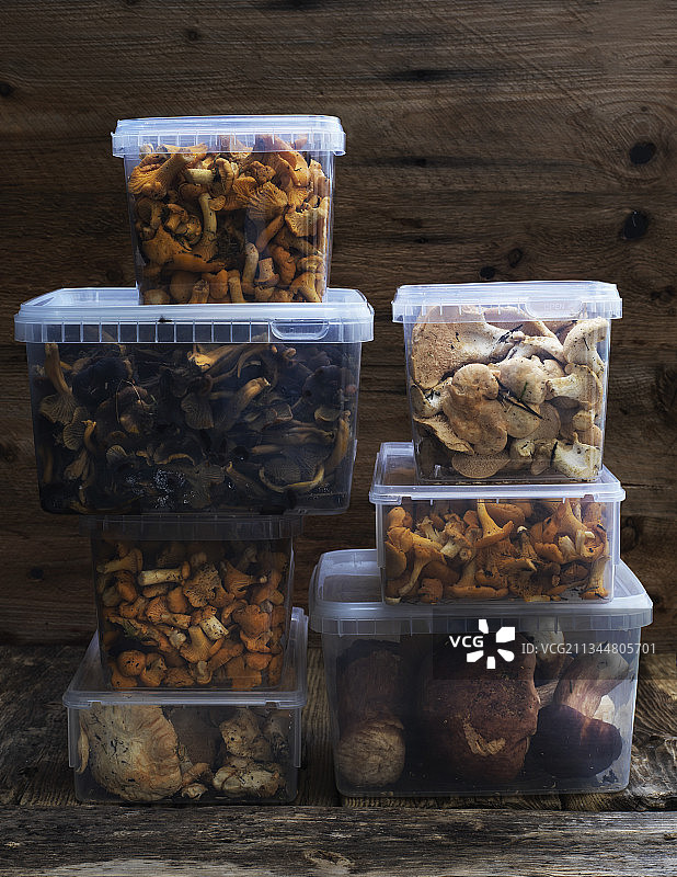 储物箱里新鲜采摘的野生蘑菇图片素材