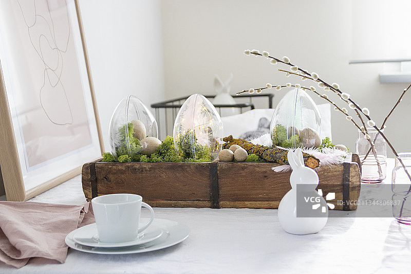 复活节透明塑料彩蛋和苔藓木箱摆件图片素材