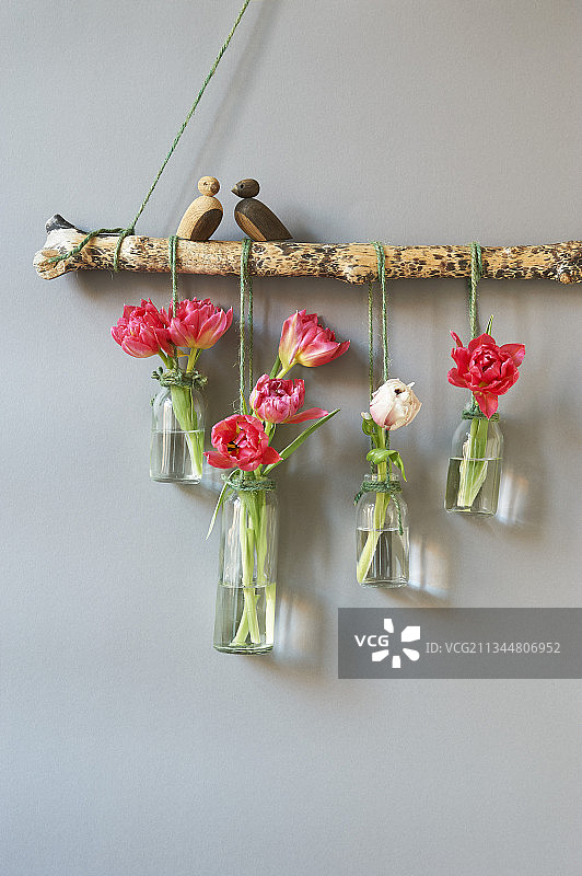 悬挂在树枝上的玻璃瓶郁金香图片素材