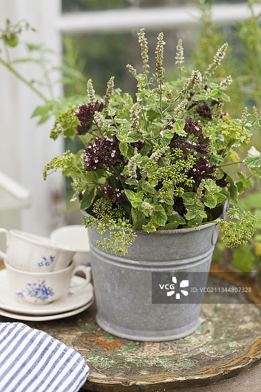 苹果薄荷和牛至的草药花束图片素材