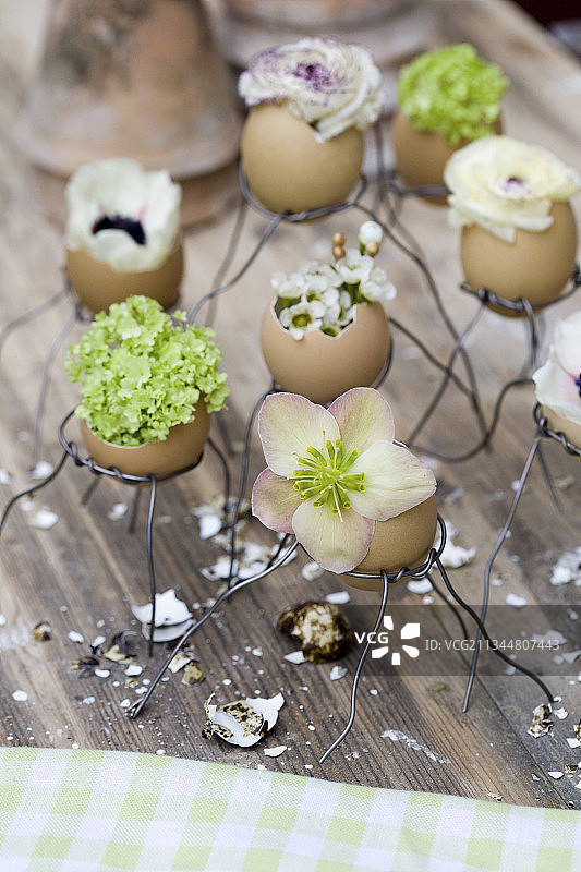 小铁丝架上蛋壳里的春天花朵图片素材