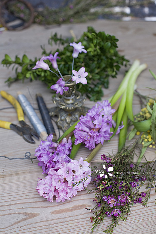 制作春天花环的材料：风信子、蜡花、含羞草、黄杨木、花艺线和剪线钳图片素材
