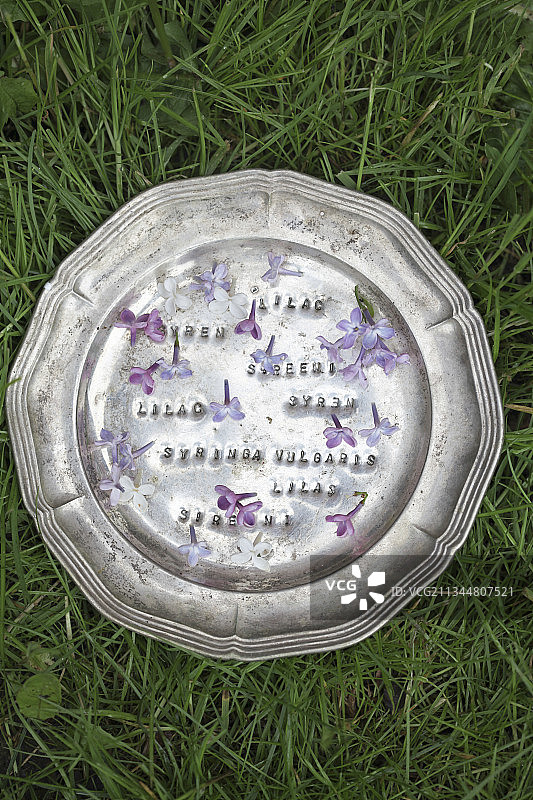 锡盘上的丁香色小花图片素材