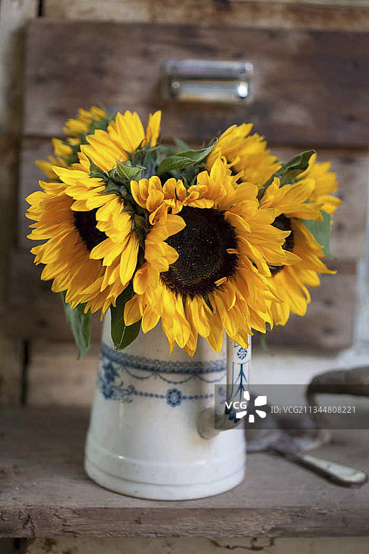 向日葵花束图片素材