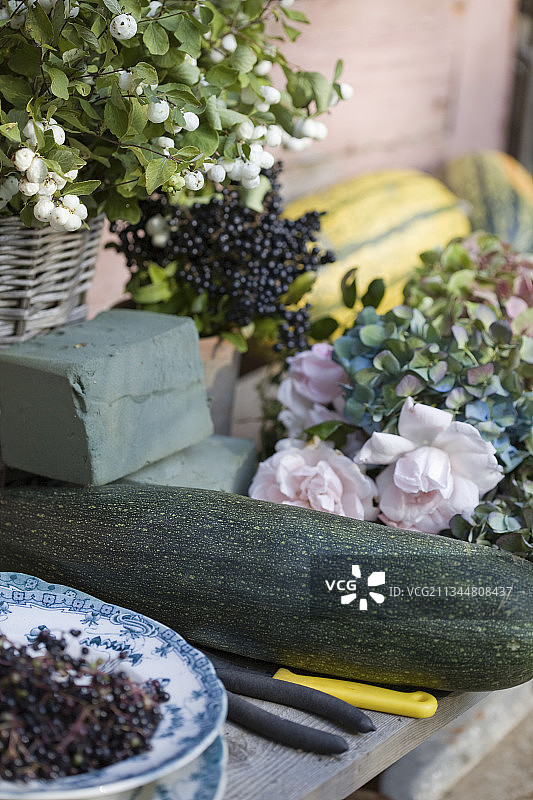 秋季装饰材料：西葫芦、女贞子、玫瑰、绣球花、雪果和湿海绵图片素材