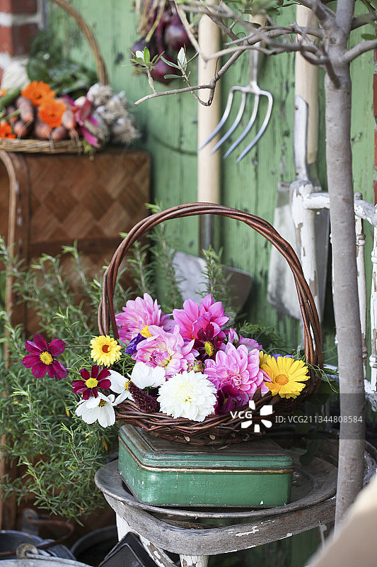 大丽花和万寿菊篮图片素材