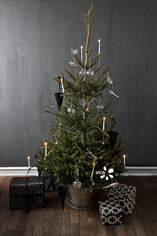 圣诞树和礼物，深色背景墙图片素材