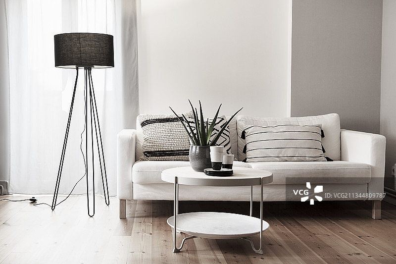 淡色沙发和咖啡桌旁的黑色落地灯图片素材