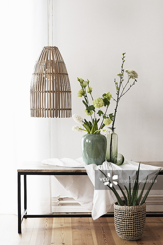 咖啡桌上的荚蒾和风信子枝条与吊灯图片素材