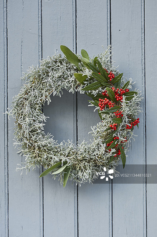 圣托里尼棉花小檗浆果花环图片素材